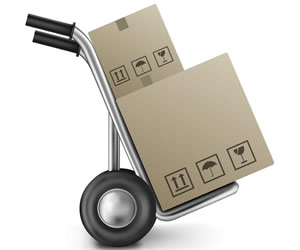 Storage Options at Breda Moving Storage Options at Breda Moving